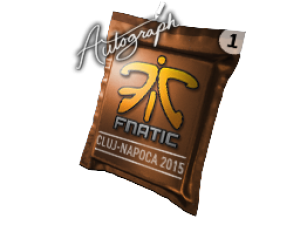 Капсула с автографом | Fnatic | Клуж-Напока 2015